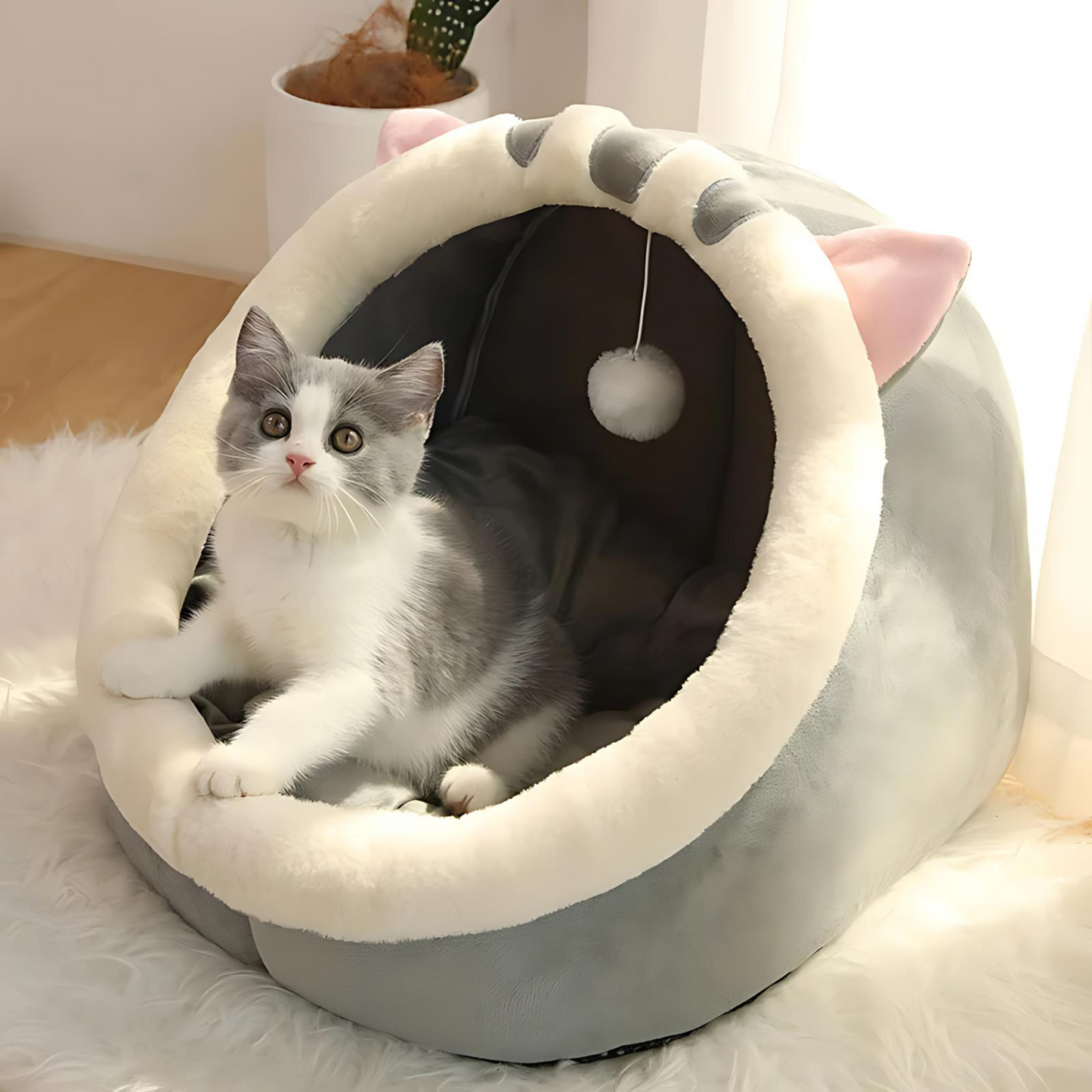 Spinlo Pet Bed